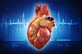 Jantung: Bagaimana Anda Tahu Hati Anda Sehat? normal dan detak jantung semaksimal